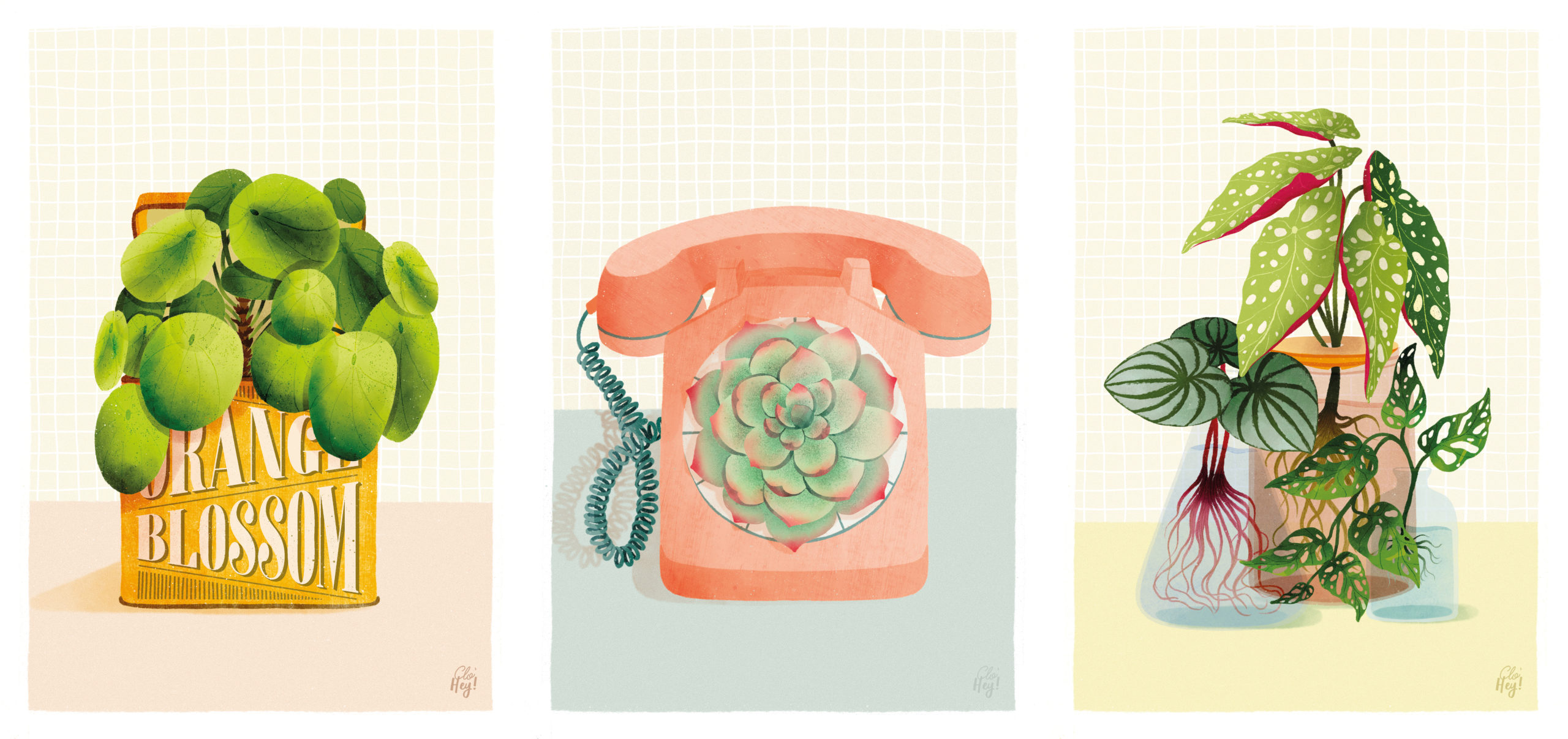 trio plantes illustration clohey scaled