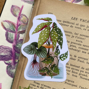 stickers boutures plante clohey 1 scaled