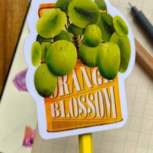 stickers piléa boîte thé plante clohey