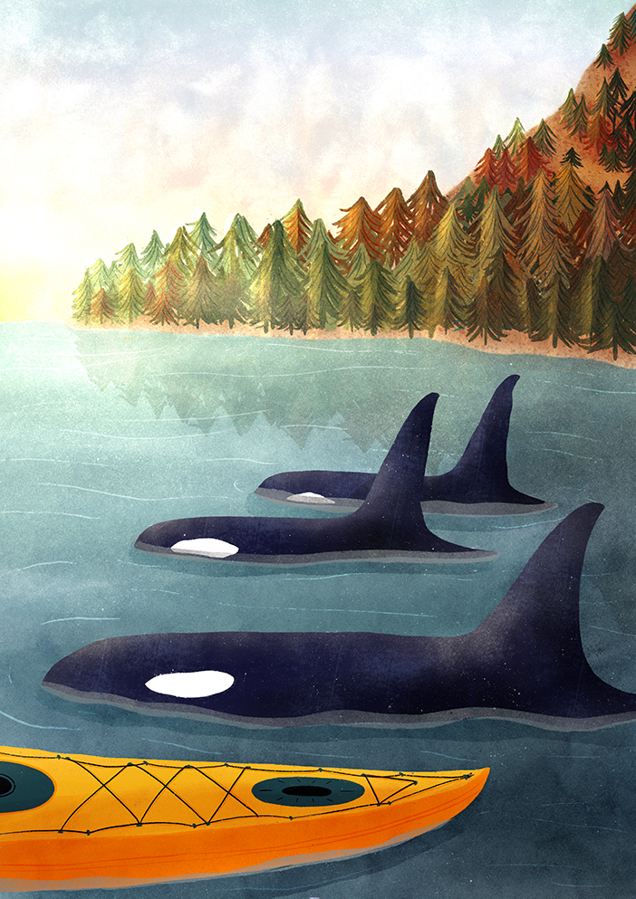 magasine illustration voyage canada orques clohey