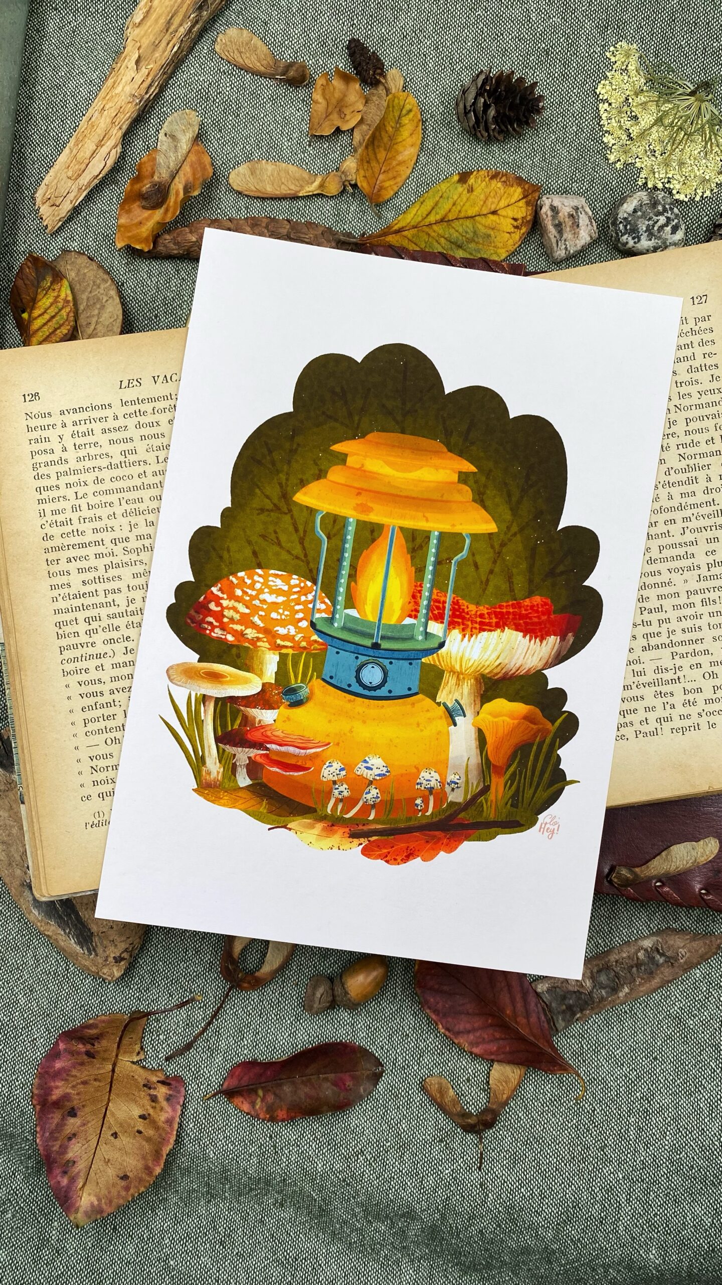 illustration lampe coleman champignons feu clohey 2 scaled