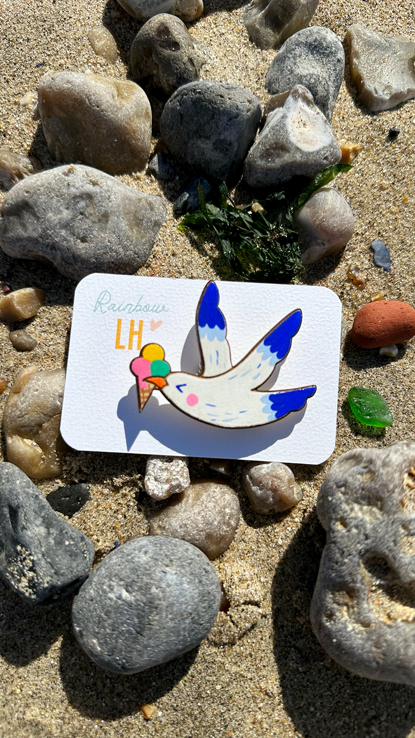 goeland mouette goelette broche plage le le havre clohey goeland mouette goelette broche plage le le havre clohey