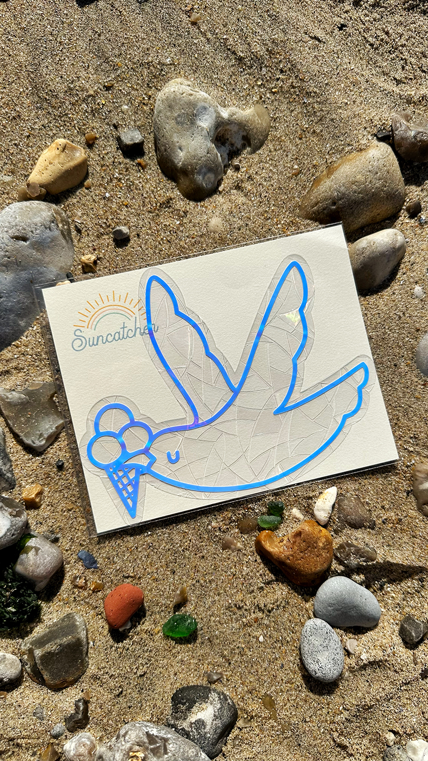 goeland mouette goelette suncatcher plage le le havre clohey goeland mouette goelette suncatcher plage le le havre clohey